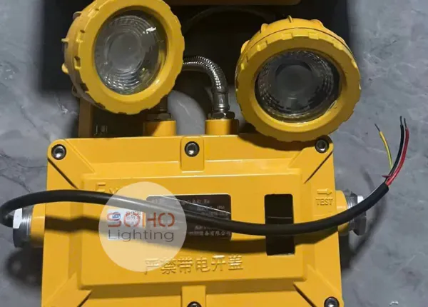 đèn chiếu sáng sự cố