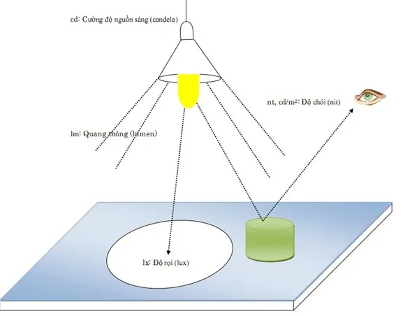 SOHO Lighting có hỗ trợ tư vấn kỹ thuật và tính toán độ rọi tận nơi không? SOHO Lighting có hỗ trợ tư vấn kỹ thuật và tính toán độ rọi tận nơi không?