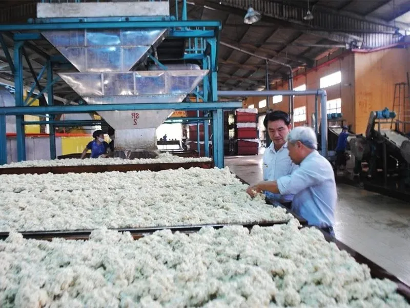 Tiêu chuẩn chiếu sáng nhà máy cao su cần đáp ứng